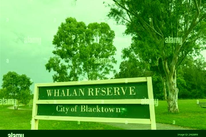 Avery, 25 — Escort in Whalan, Australia