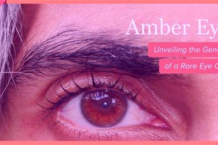 Avery, 26, a red amber-eyed caribbean companion based in Carindale. Offering Duos, Couples, Girlfriend Experience. Available for incall and outcall, overnigh...