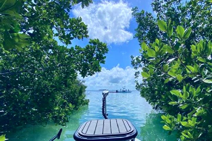 Avery, 26 — Escort in Cudjoe Key, United States