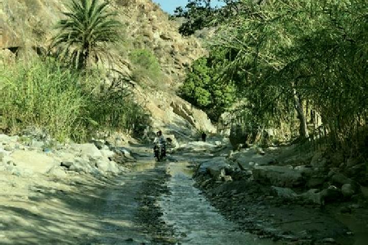 Avery, 26 — Escort in Hayfan, Yemen