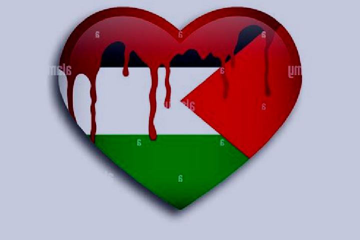 Avery, 27 — Escort in Birqin, Palestine