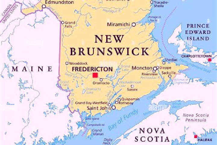 Avery, 27 — Escort in Brunswick, United States