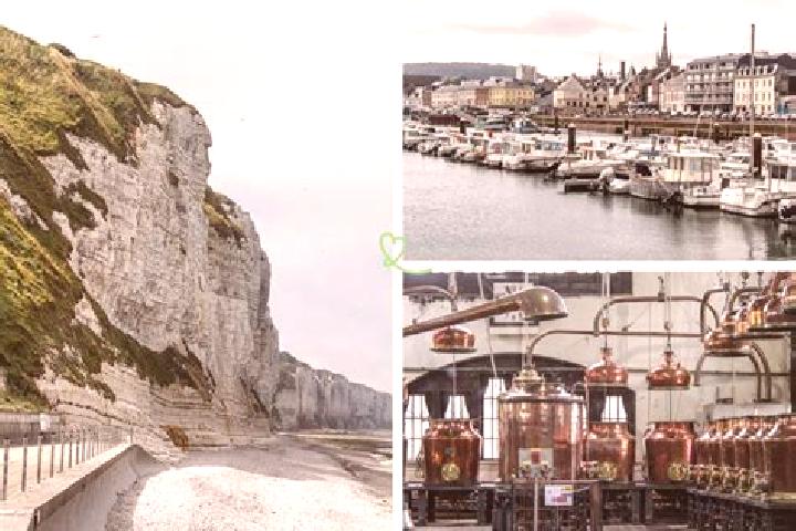 Avery, 27 — Escort in Fecamp, France