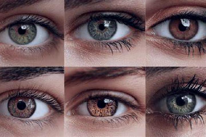 Avery, 28, a red hazel-eyed latina companion based in Eaton. Offering Prostate Massage, Overnight, OWO. Available for incall and outcall, overnight bookings ...