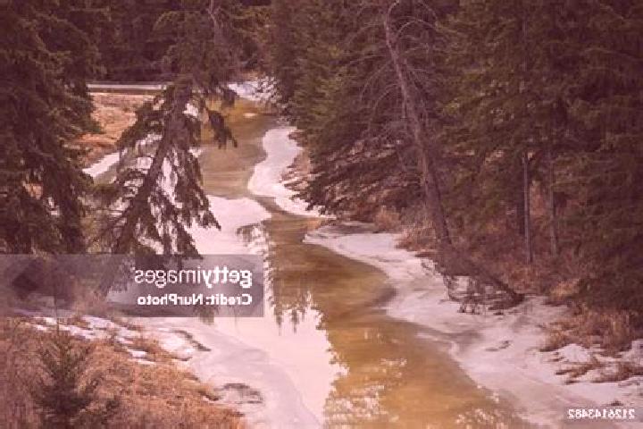 Avery, 28 — Escort in Blackmud Creek, Canada