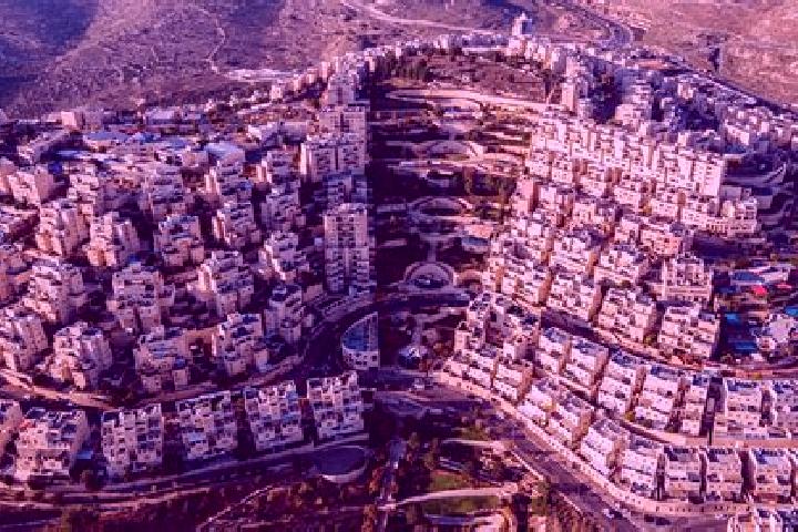 Avery, 28 — Escort in Qalandiya, Palestine