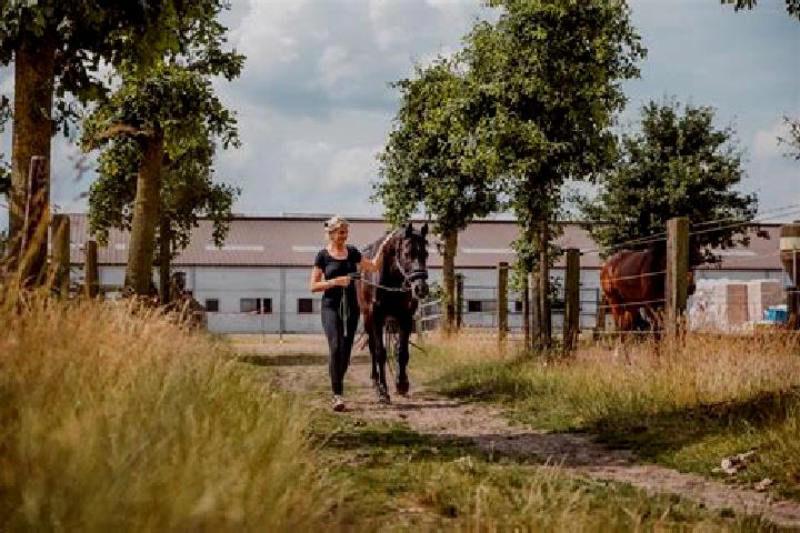 Avery, 29 — Escort in Kerkenveld, Netherlands