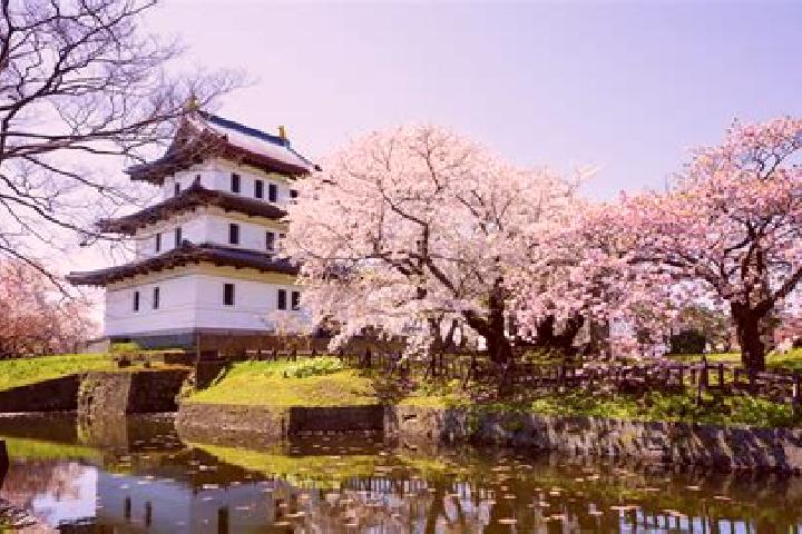 Avery, 29 — Escort in Matsumae, Japan