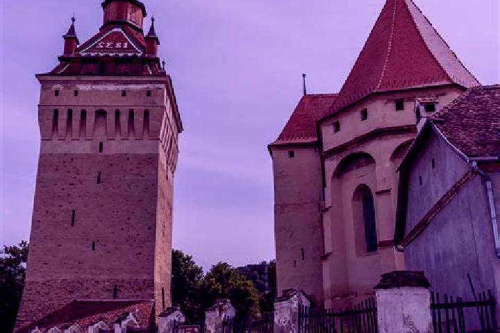 Avery, 29 — Escort in Saschiz, Romania