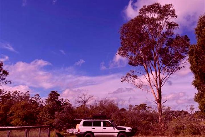 Avery, 29 — Escort in Wedderburn, Australia