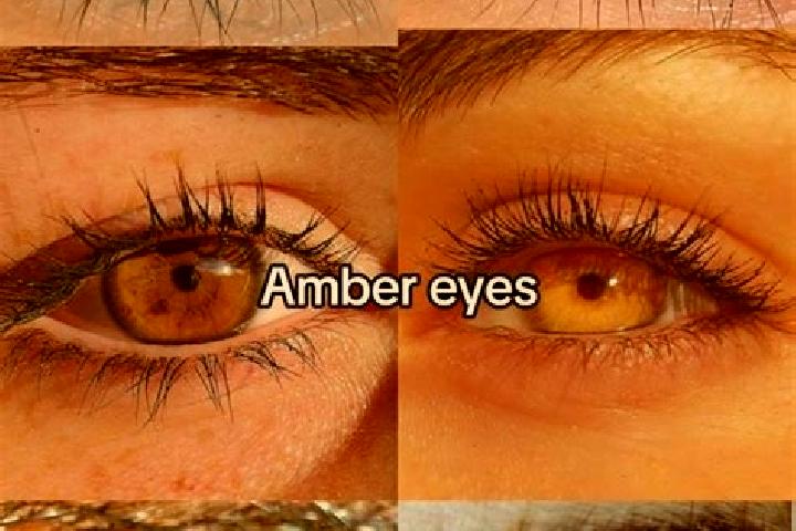 Avery, 30, a chestnut amber-eyed slavic companion based in Indented Head. Offering Erotic Massage, Dinner Date, A-Level. Available for incall and outcall, ov...
