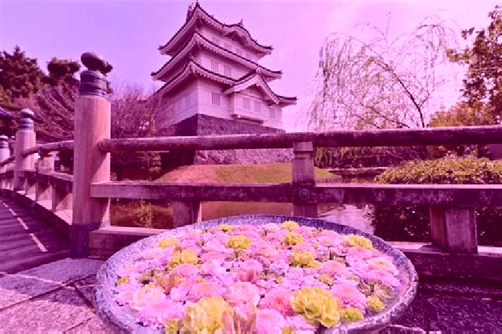 Avery, 30 — Escort in Gyoda, Japan
