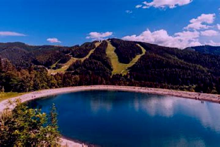 Avery, 30 — Escort in Steinhaus am Semmering, Austria
