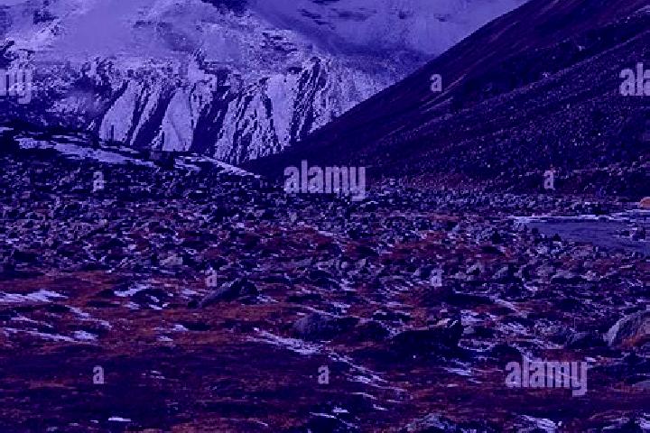 Avery, 30 — Escort in Tundra, India