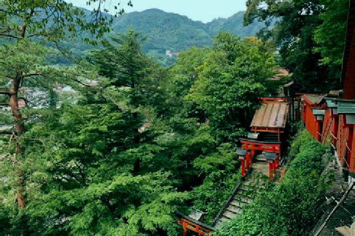 Avery, 30 — Escort in Yakumo, Japan