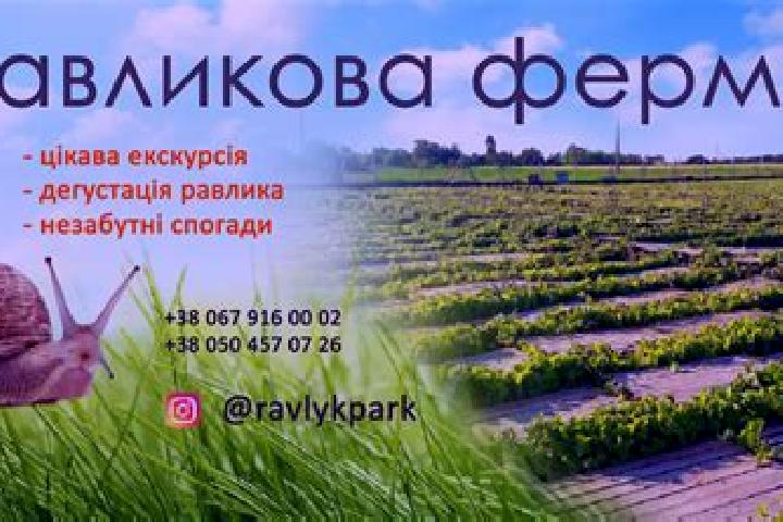 Avery, 30 — Escort in Zbarazh, Ukraine
