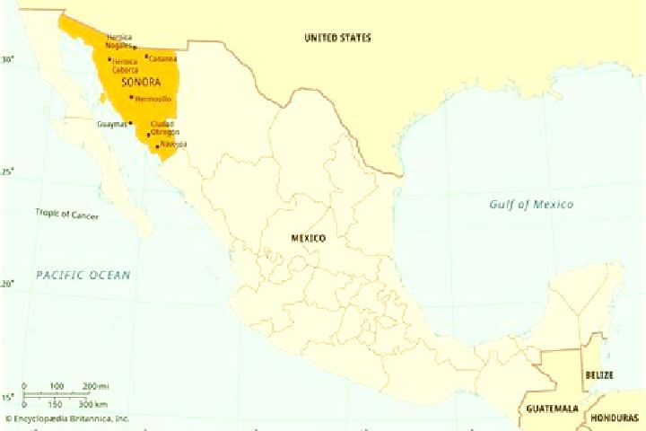 Avery, 31 — Escort in Agua Senora, Mexico