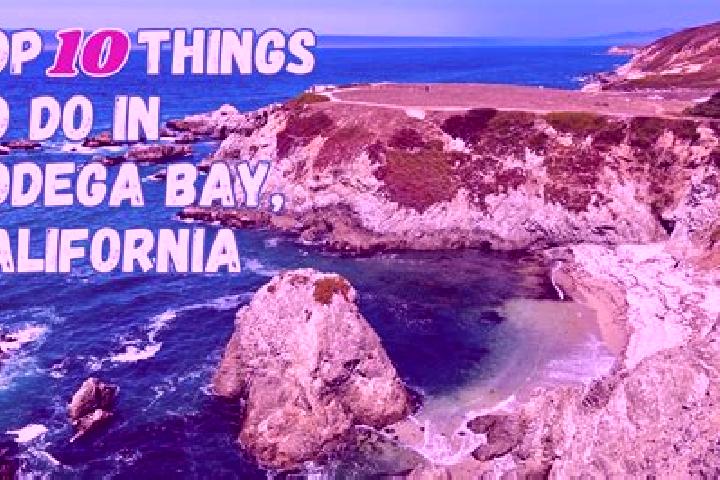 Avery, 31 — Escort in Bodega Bay, United States