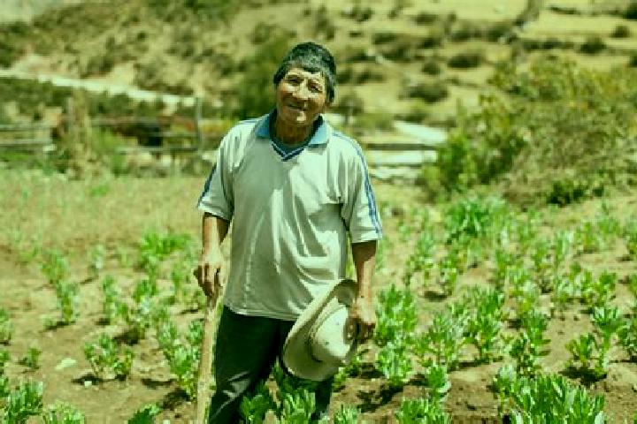 Avery, 31 — Escort in Jarpa, Peru