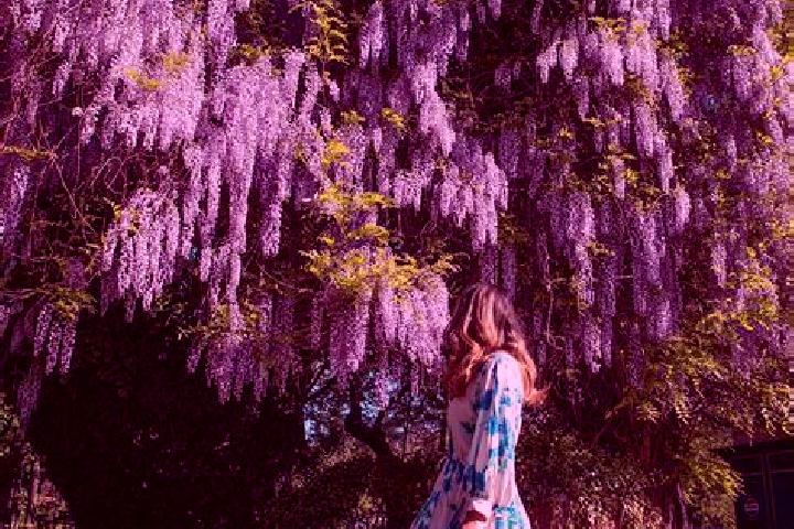 Avery, 31 — Escort in Schitu Scoicesti, Romania
