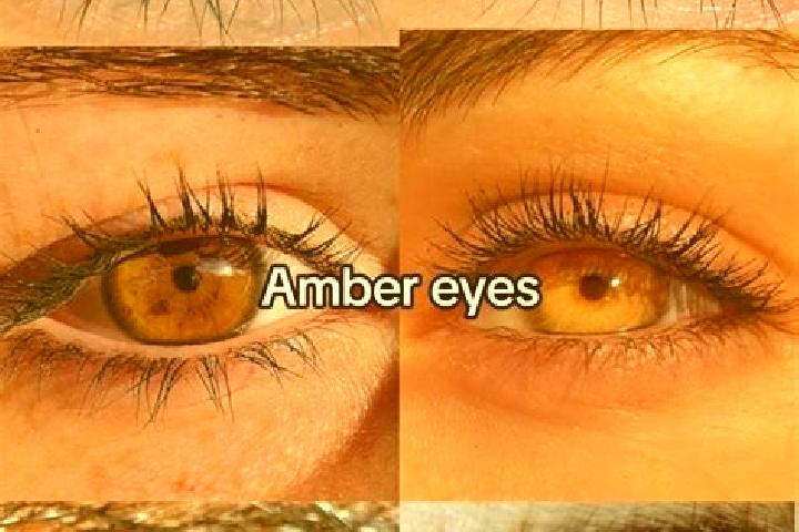 Avery, 32, a chestnut amber-eyed mixed companion based in Ouerdanine. Offering Domination, Striptease, A-Level. Available for incall and outcall, day and eve...