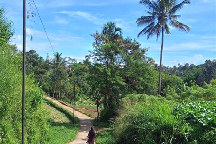 Avery, 32 — Escort in Kadudampit, Indonesia