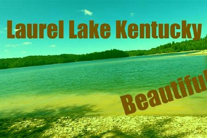 Avery, 32 — Escort in Laurel Lake, United States