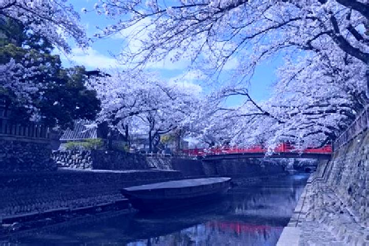 Avery, 32 — Escort in Ogaki, Japan