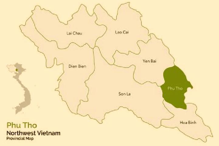 Avery, 32 — Escort in Phuc Tho, Vietnam