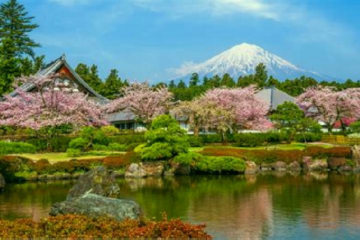 Avery, 32 — Escort in Shizuoka, Japan
