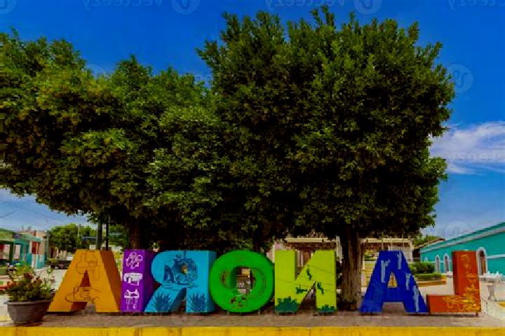 Avery, 33 — Escort in La Noria de San Antonio, Mexico