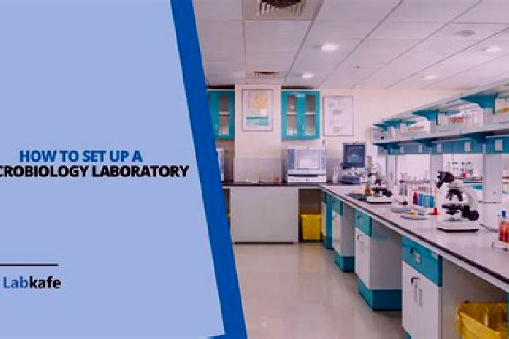 Avery, 33 — Escort in Lab, China
