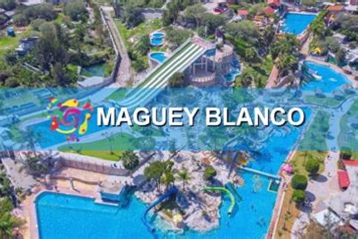 Avery, 33 — Escort in Maguey Blanco, Mexico