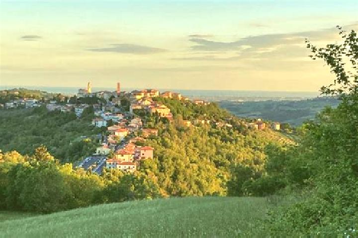 Avery, 33 — Escort in Sogliano al Rubicone, Italy