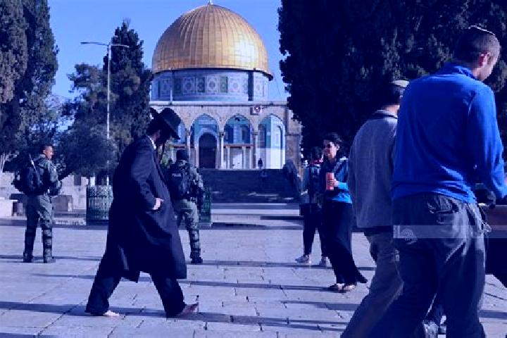 Avery, 34 — Escort in Mikhmas, Palestine