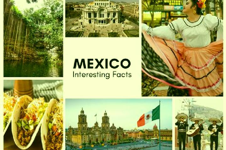 Avery, 34 — Escort in Mochicahui, Mexico