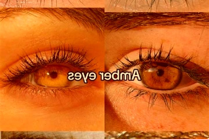 Avery, 35, a chestnut amber-eyed slavic companion based in Roussay. Offering OWO, Tantra, Fetish, A-Level. Available for incall and outcall, overnight bookin...