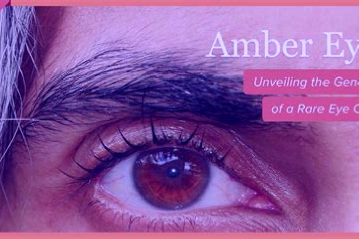 Avery, 35, a red amber-eyed indian companion based in Wintershoven. Offering Striptease, Dinner Date, GFE. Available for incall and outcall, overnight bookin...