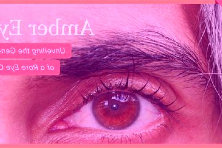 Avery, 35, a red amber-eyed mediterranean companion based in Undenheim. Offering Dinner Date, OWO, Prostate Massage. Available for incall and outcall, overni...