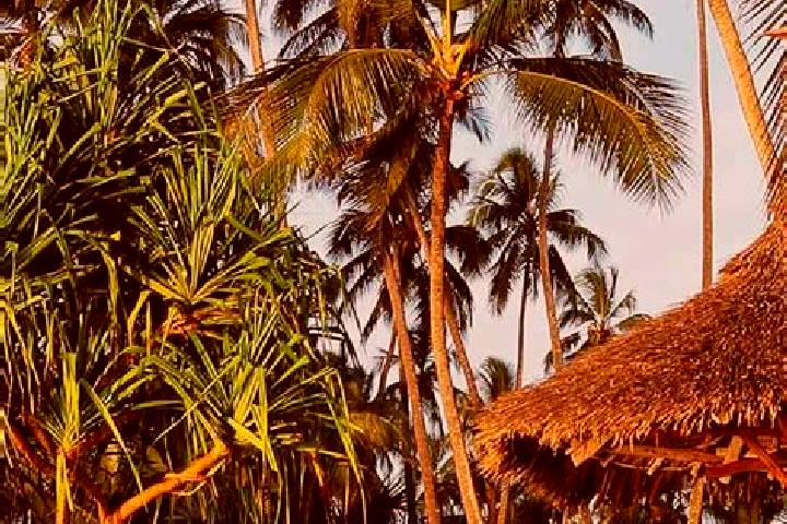 Avery, 35 — Escort in Merelani, Tanzania