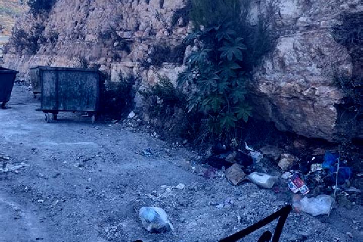 Avery, 35 — Escort in Nahhalin, Palestine