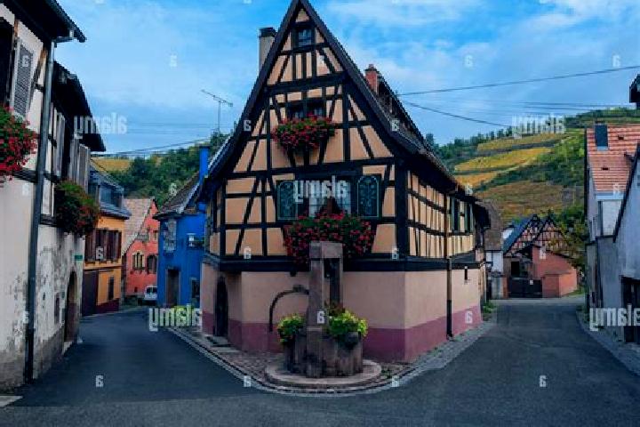 Avery, 35 — Escort in Niedermorschwihr, France