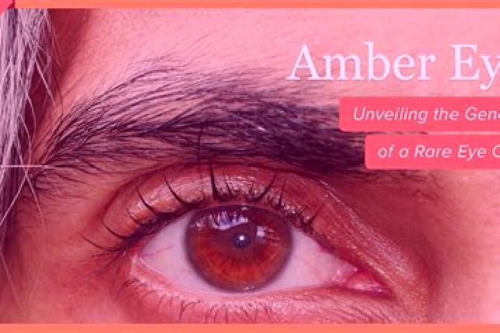 Avery, 36, a red amber-eyed ebony companion based in Quihuhu. Offering Striptease, Couples, Party Girl. Available for incall and outcall, day and evening dates.