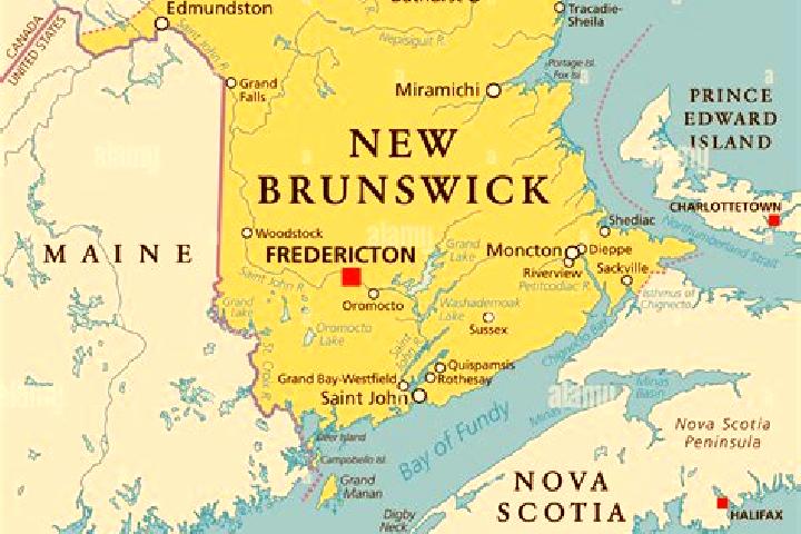 Avery, 36 — Escort in Brunswick Station, United States