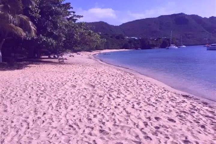Avery, 36 — Escort in New Montrose, Saint Vincent and the Grenadines
