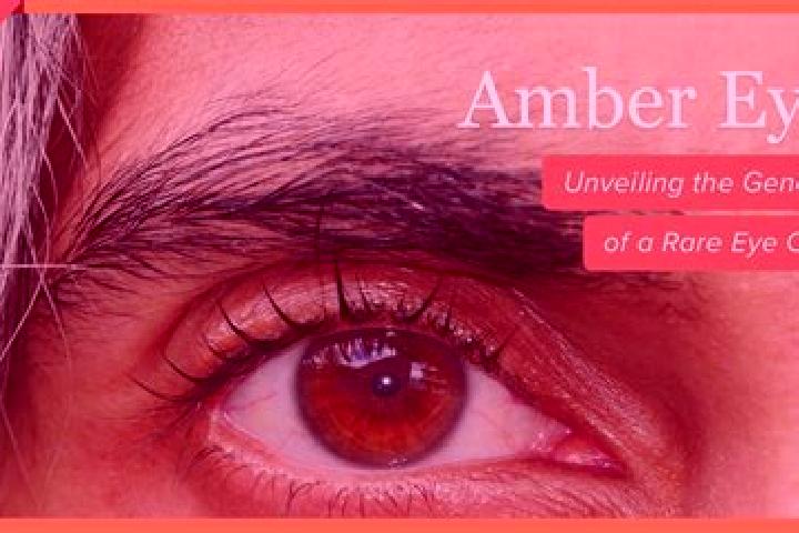 Avery, 37, a black amber-eyed latina companion based in Surberg. Offering Couples, Tantra, A-Level, Striptease. Available for incall and outcall, overnight b...