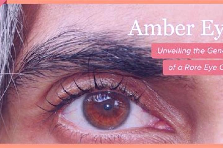 Avery, 37, a black amber-eyed mixed companion based in Charkhi Dadri. Offering Duos, Fetish, GFE. Available for incall and outcall, overnight bookings availa...