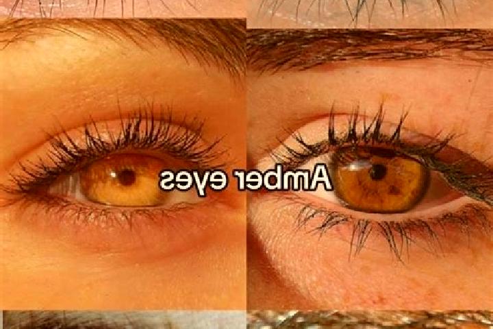 Avery, 37, a chestnut amber-eyed caucasian companion based in Borgo Carillia. Offering Prostate Massage, Domination, Massage, Girlfriend Experience, Couples....