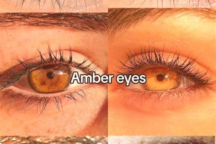 Avery, 37, a chestnut amber-eyed latina companion based in King City. Offering Erotic Massage, Roleplay, OWO, BDSM. Available for incall and outcall, overnig...