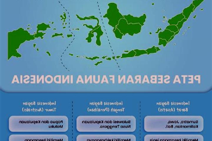 Avery, 37 — Escort in Gununganyartambak Tengah, Indonesia